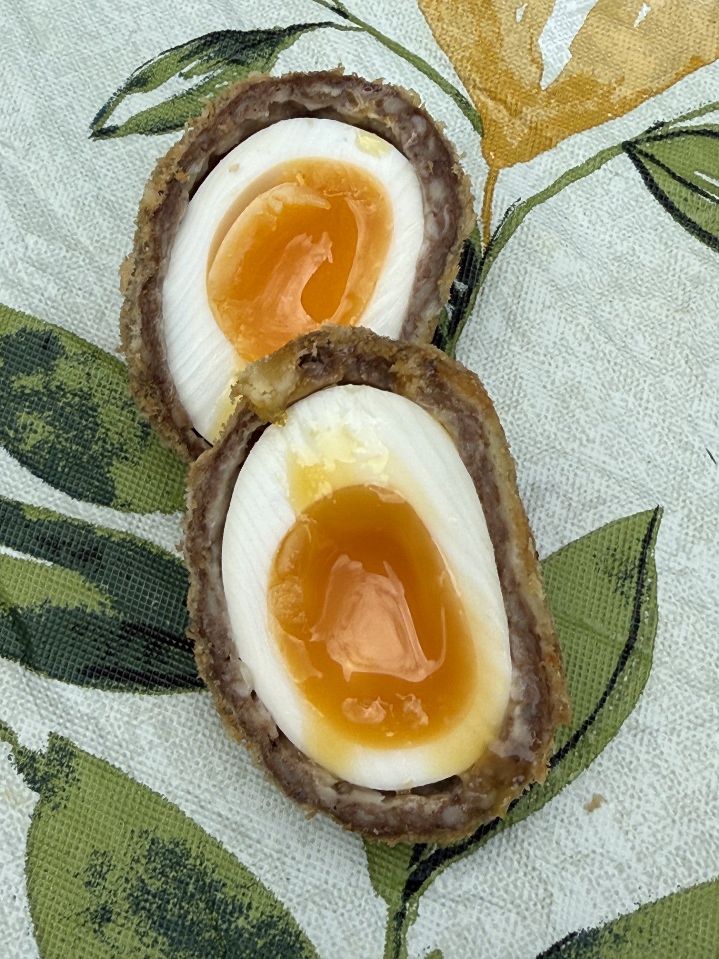 The Black Pudding Scott Chegg 6 Pack