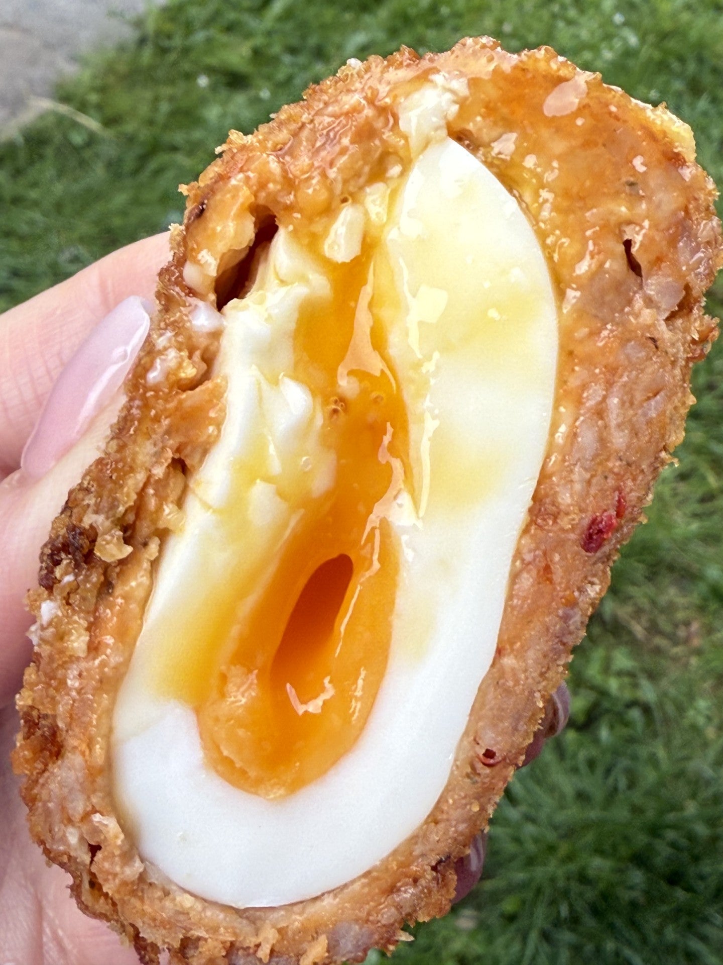 The Chilli Fire Scott Chegg 3 Pack